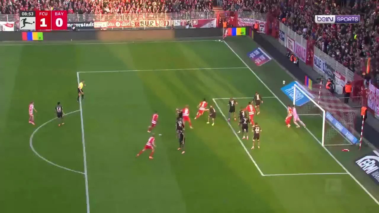 zaslepka skrotu video