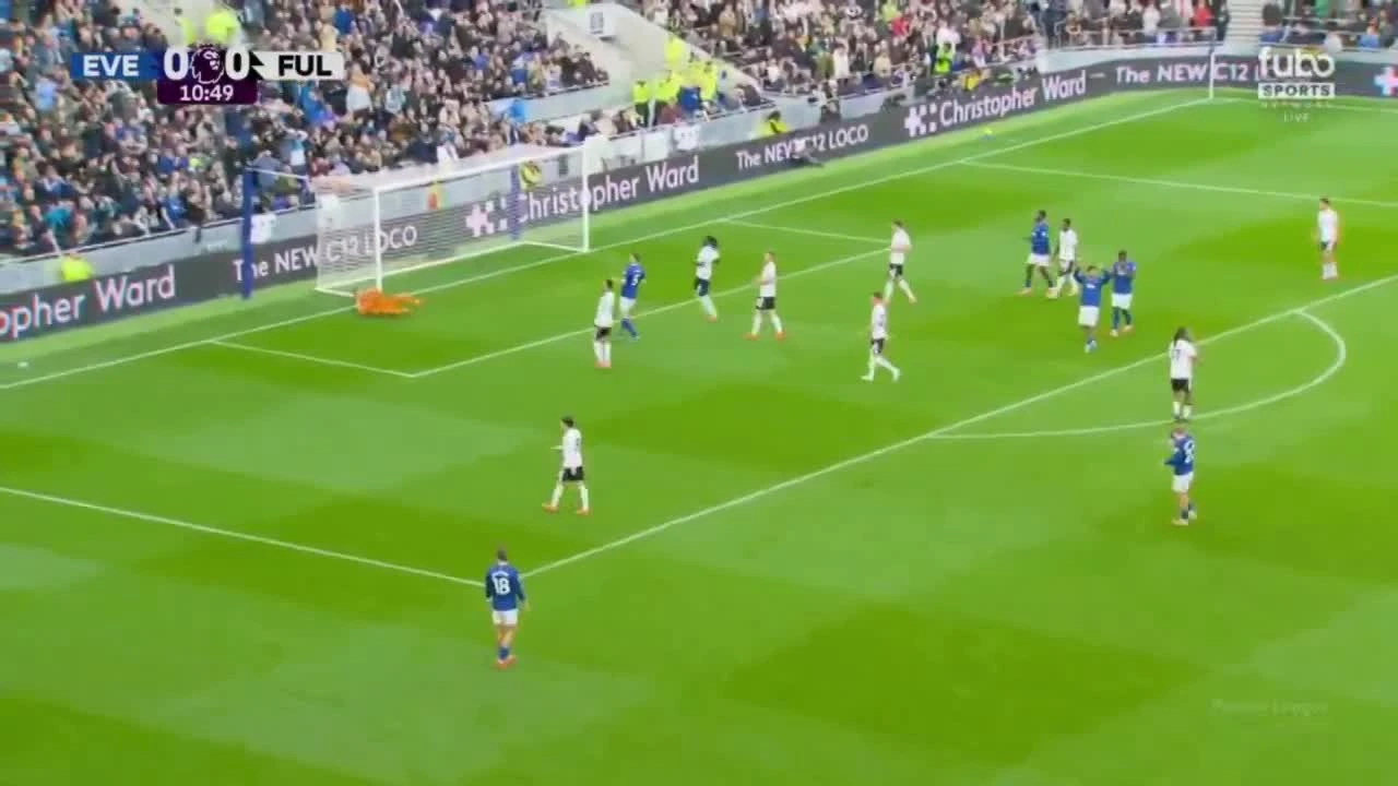 zaslepka skrotu video