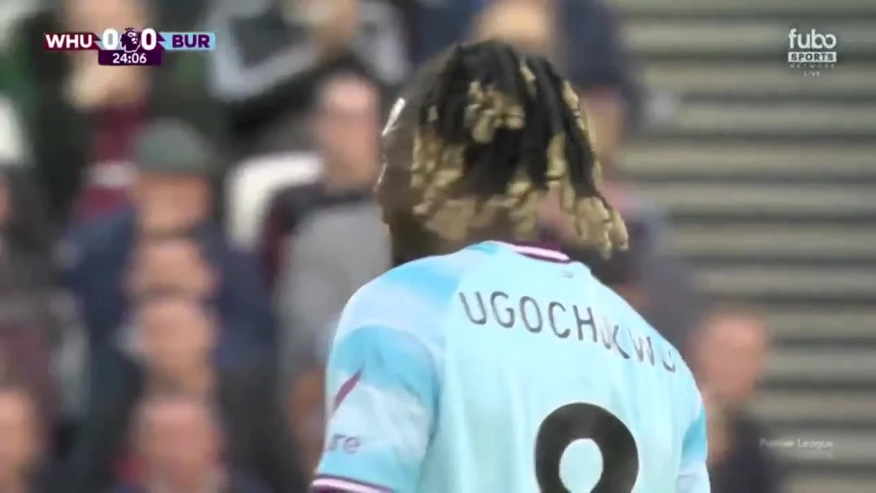 zaslepka skrotu video