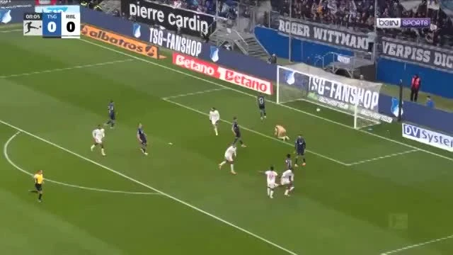 zaslepka skrotu video