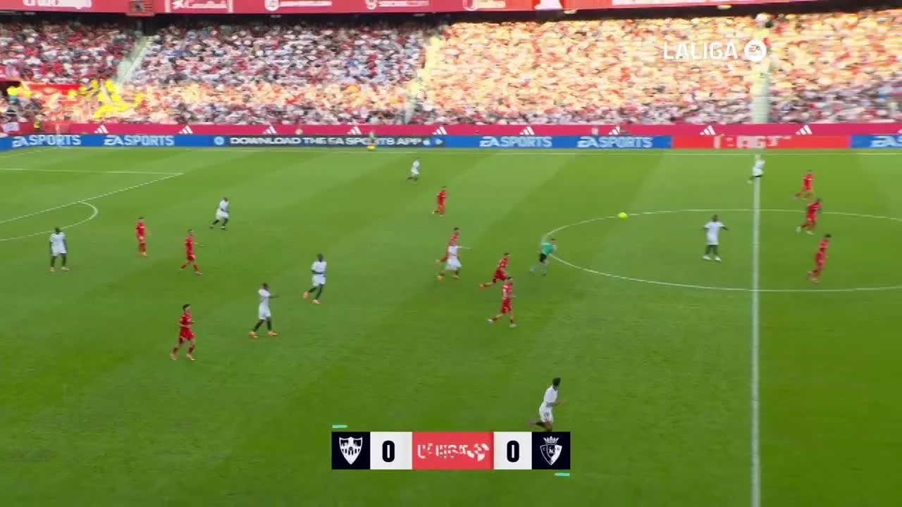 zaslepka skrotu video