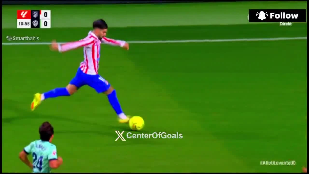 zaslepka skrotu video