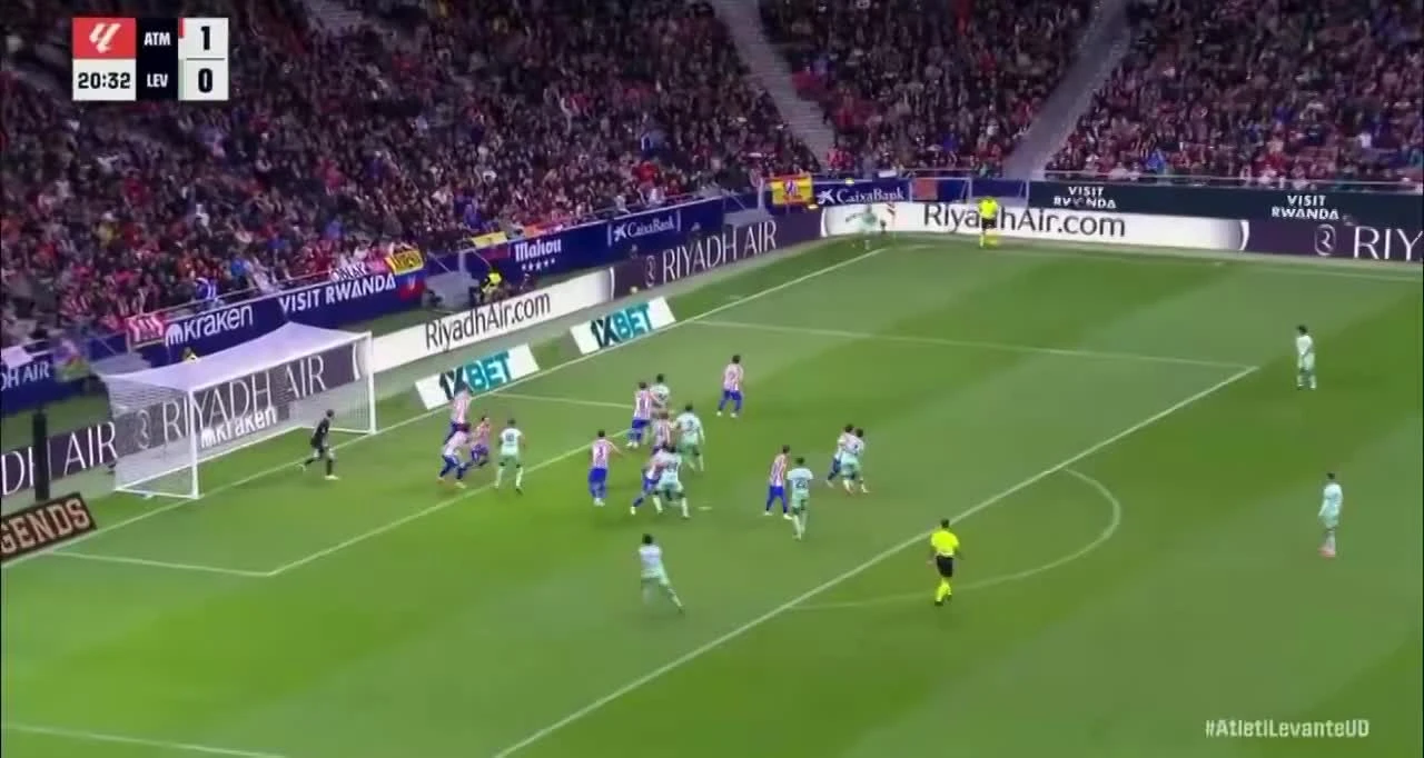 zaslepka skrotu video