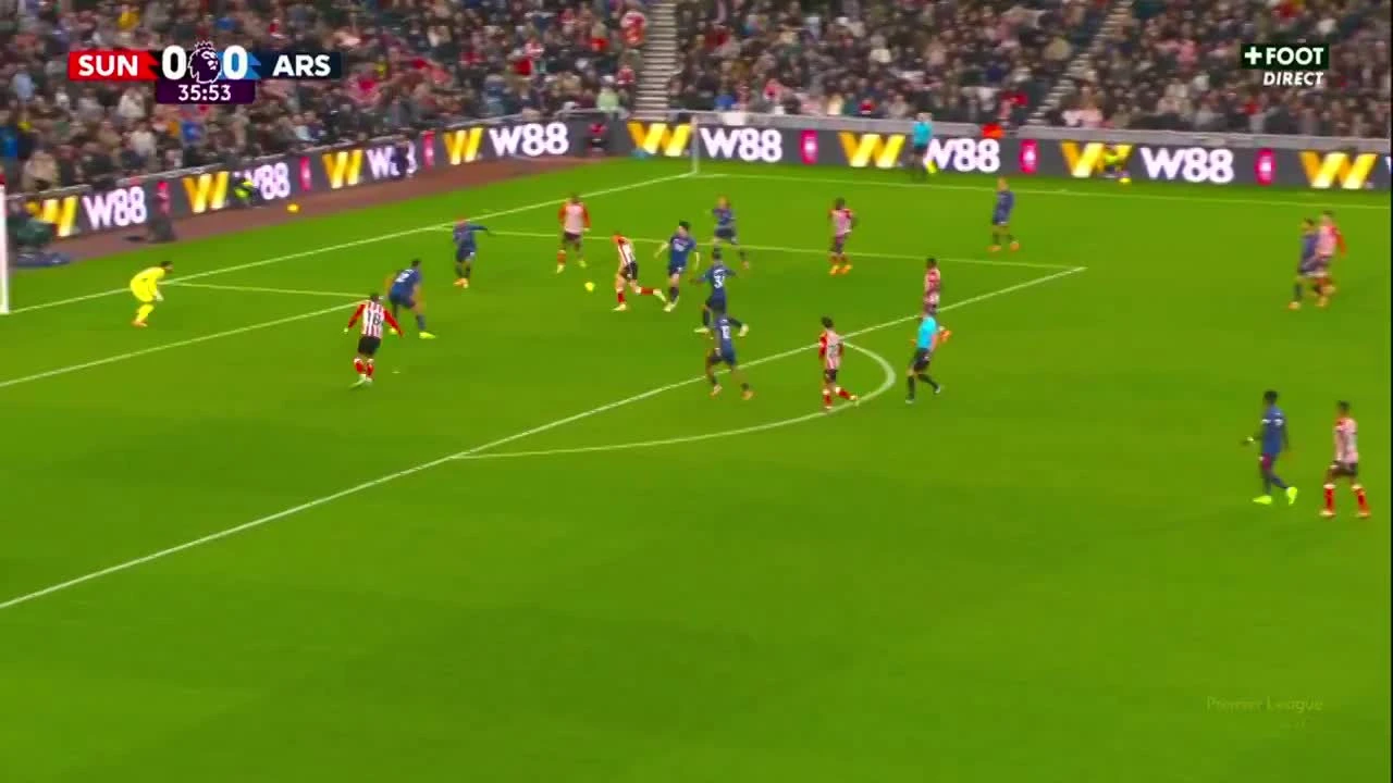 zaslepka skrotu video