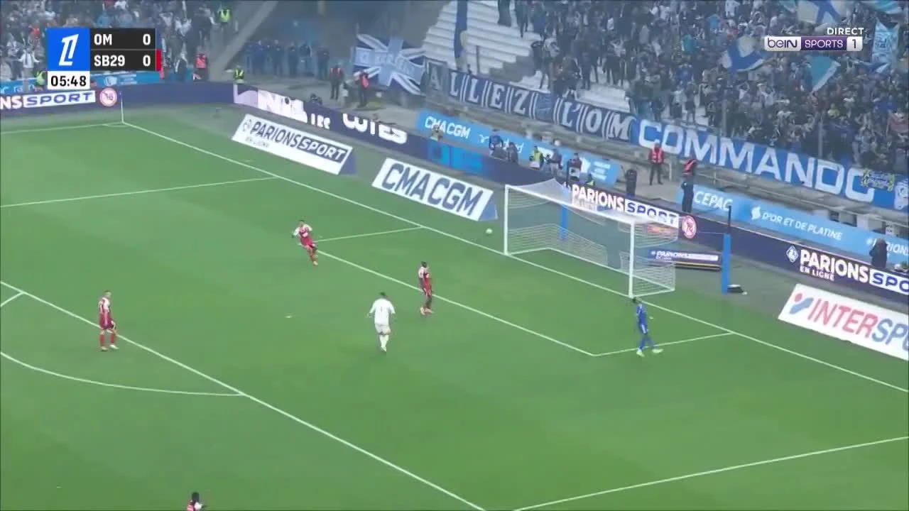 zaslepka skrotu video