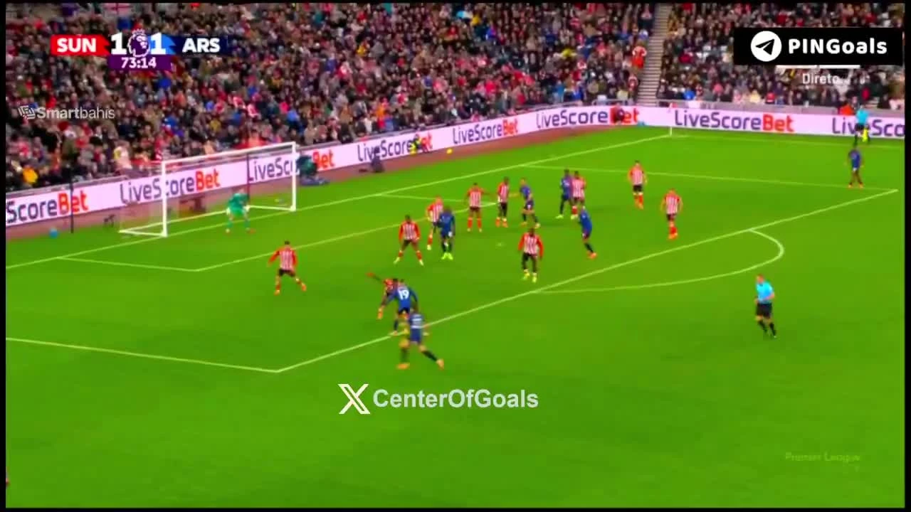 zaslepka skrotu video