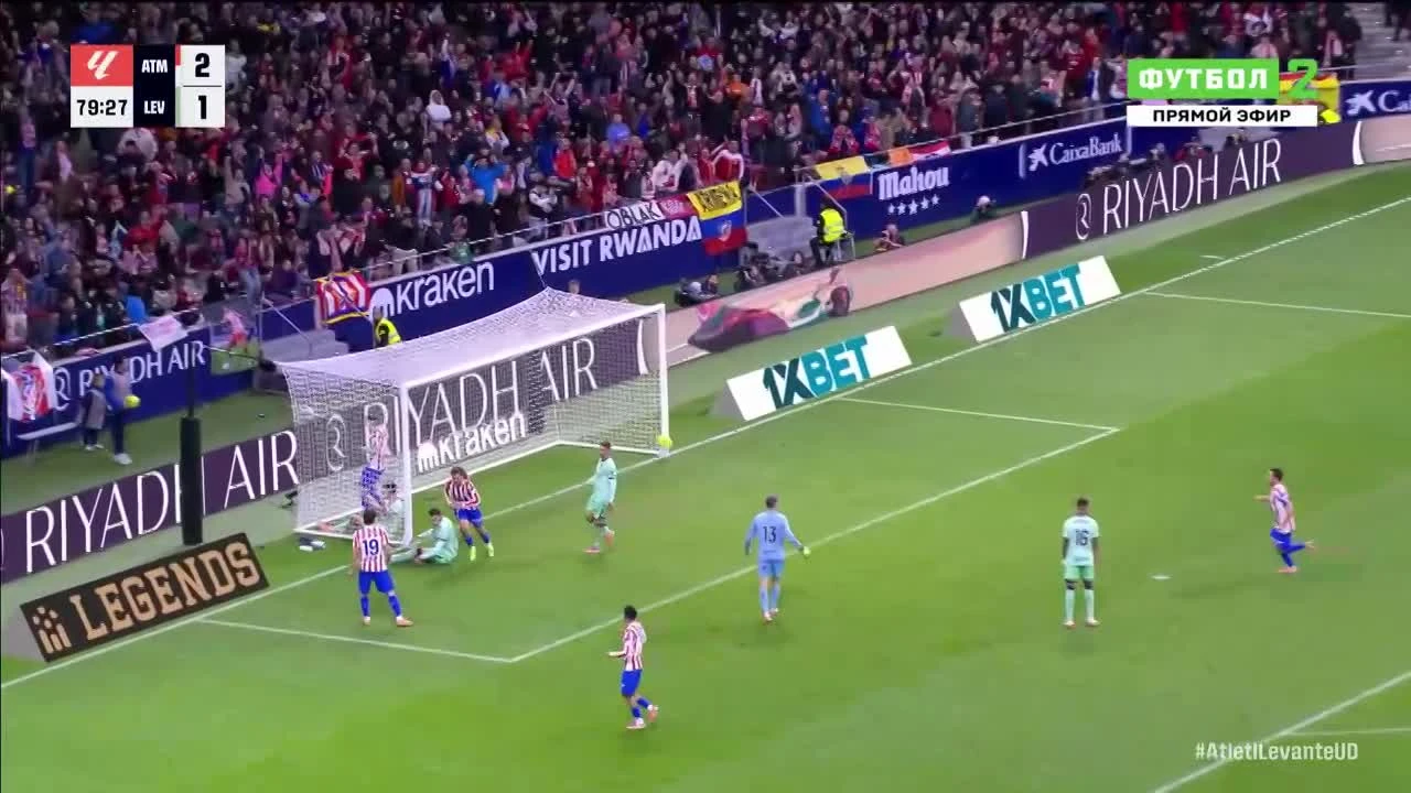 zaslepka skrotu video