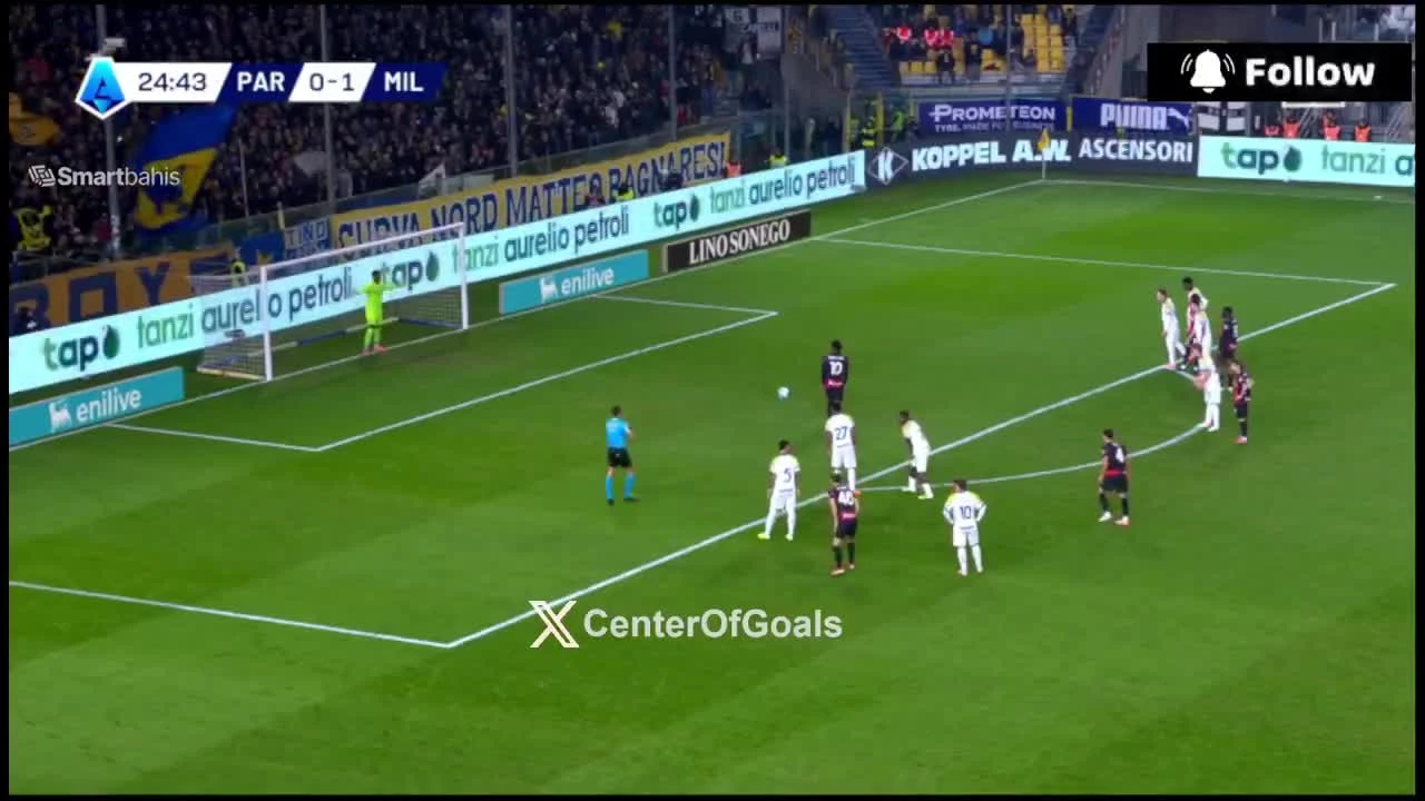 zaslepka skrotu video