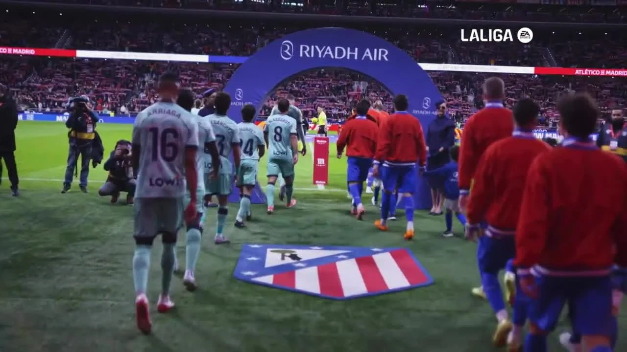 zaslepka skrotu video