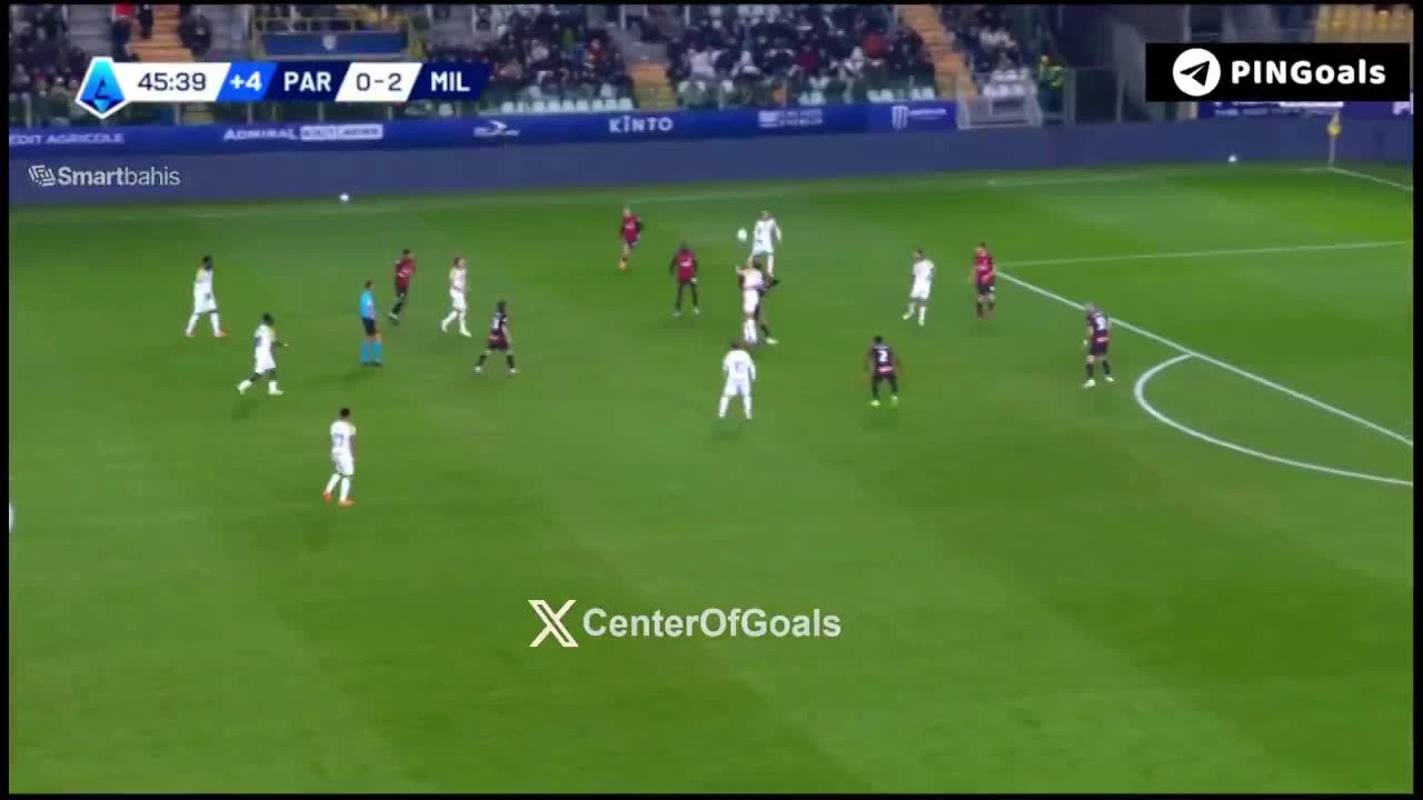 zaslepka skrotu video