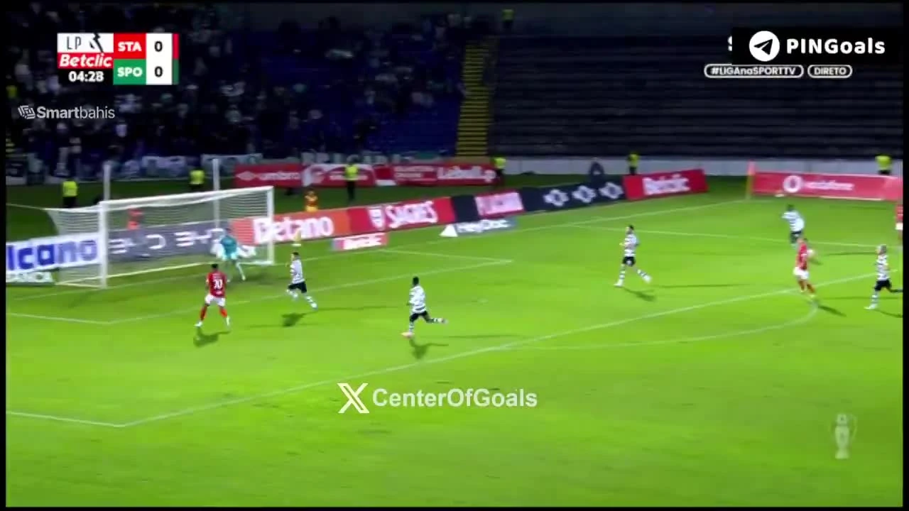 zaslepka skrotu video