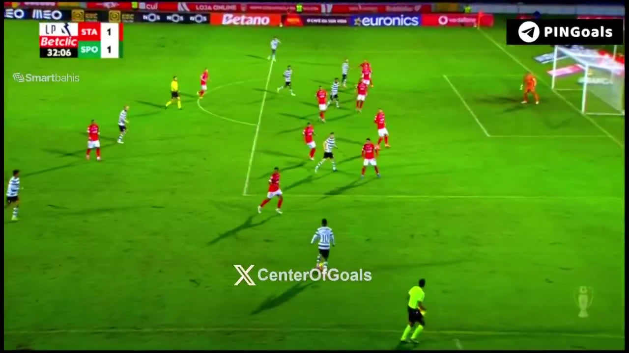 zaslepka skrotu video