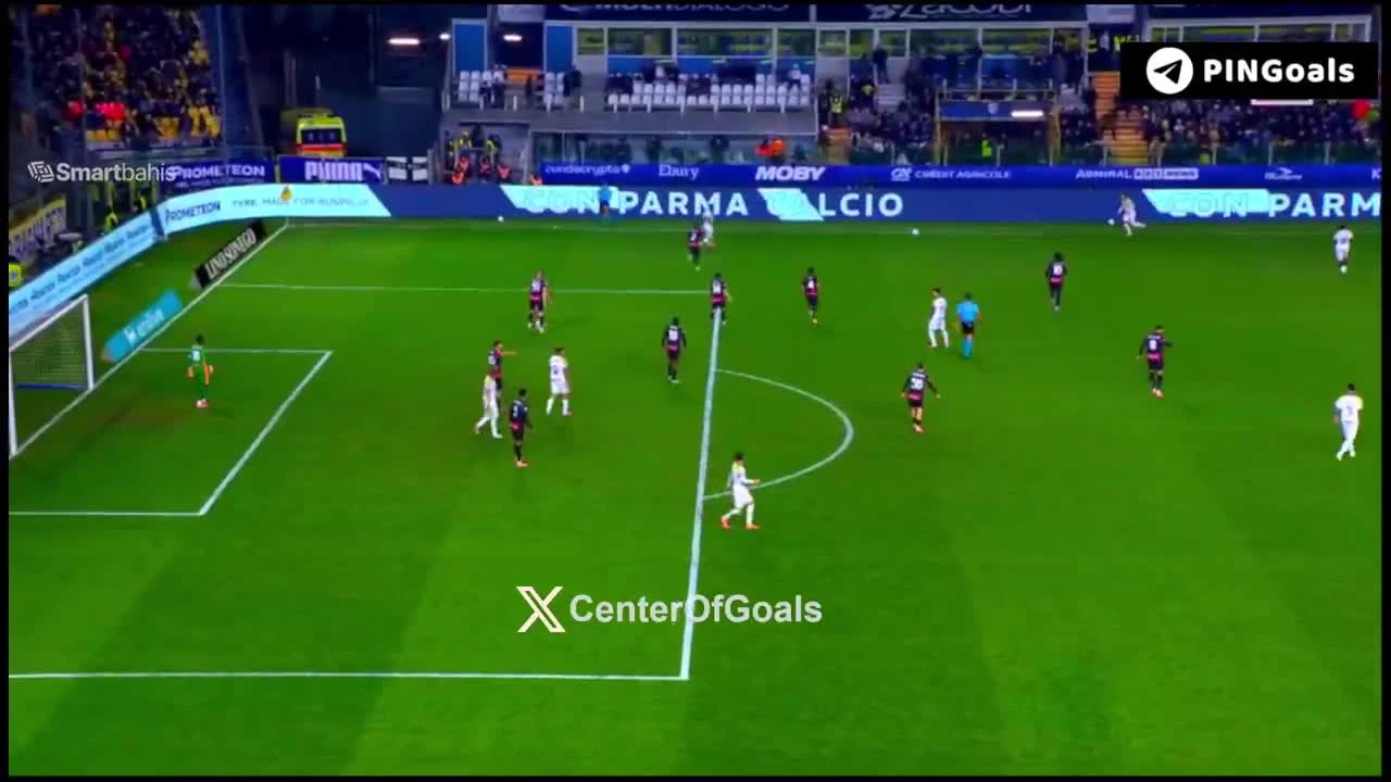 zaslepka skrotu video