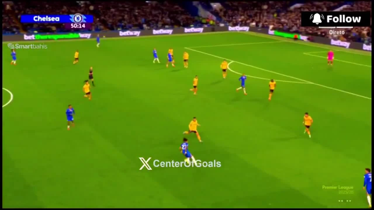 zaslepka skrotu video