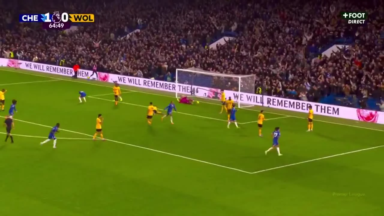 zaslepka skrotu video