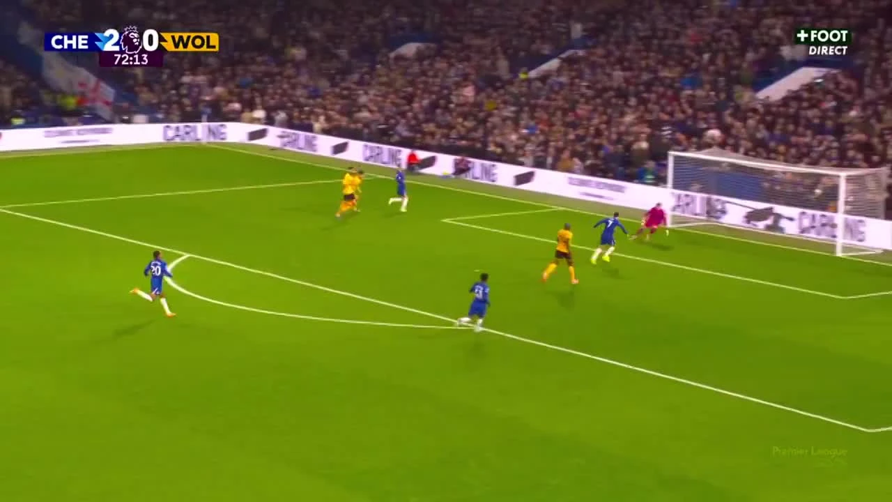 zaslepka skrotu video