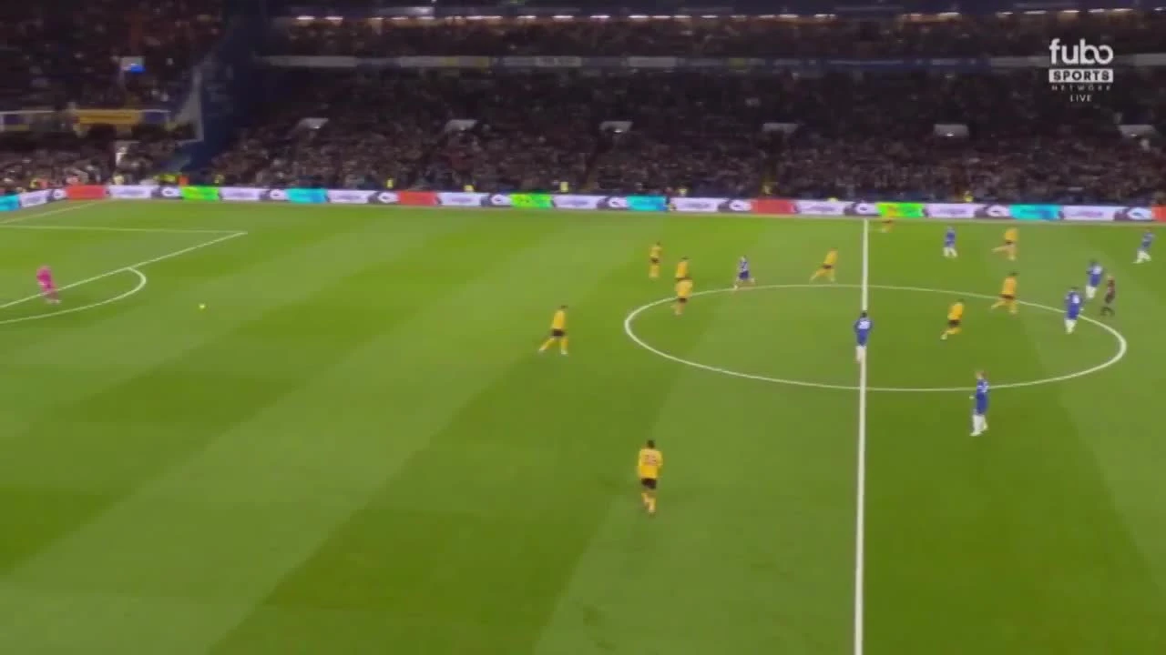 zaslepka skrotu video