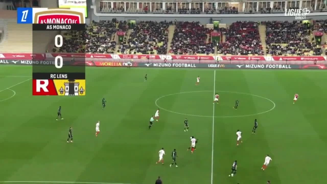 zaslepka skrotu video