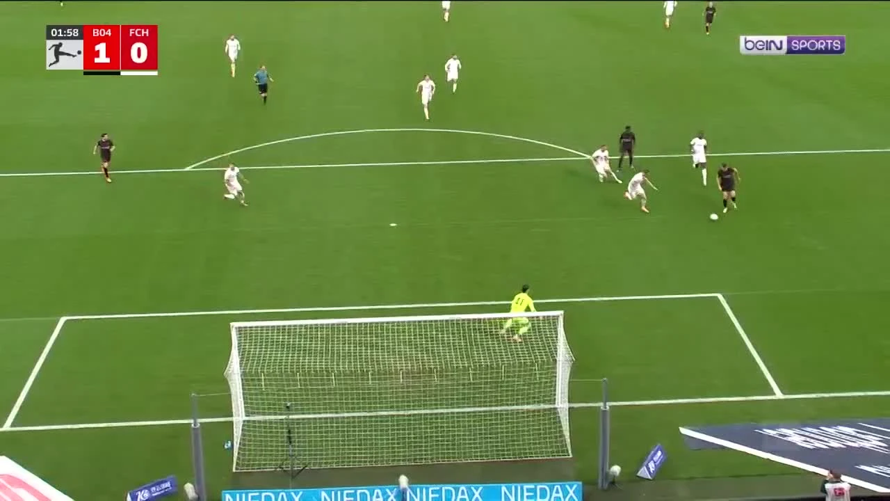 zaslepka skrotu video