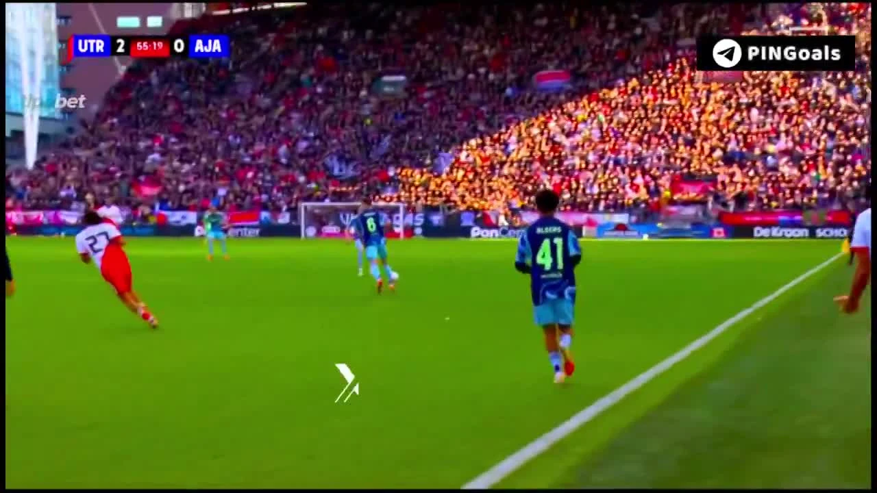 zaslepka skrotu video