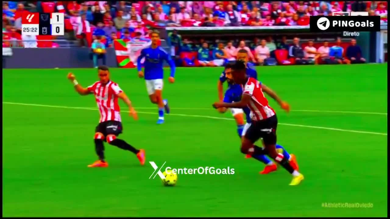 zaslepka skrotu video