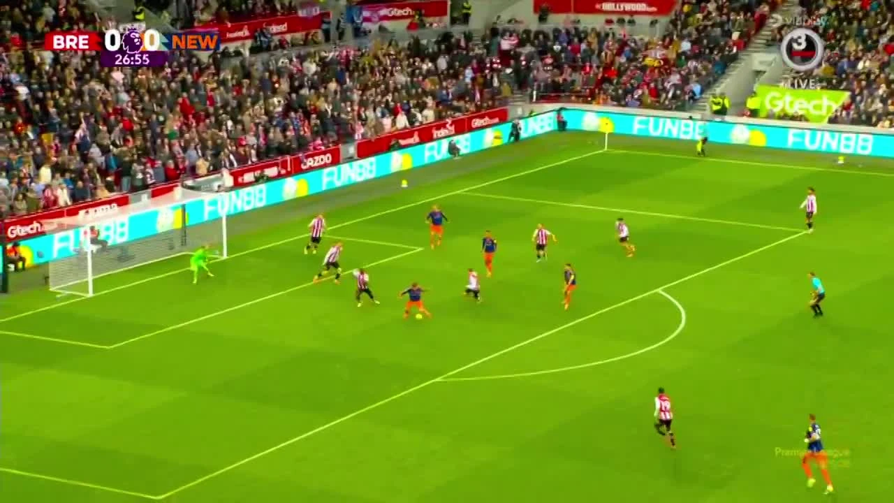 zaslepka skrotu video