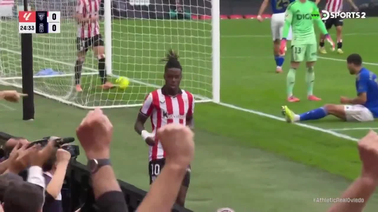 zaslepka skrotu video