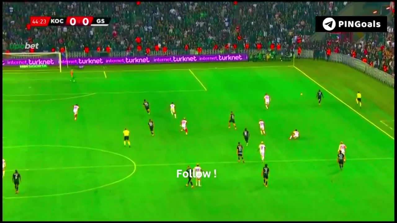 zaslepka skrotu video