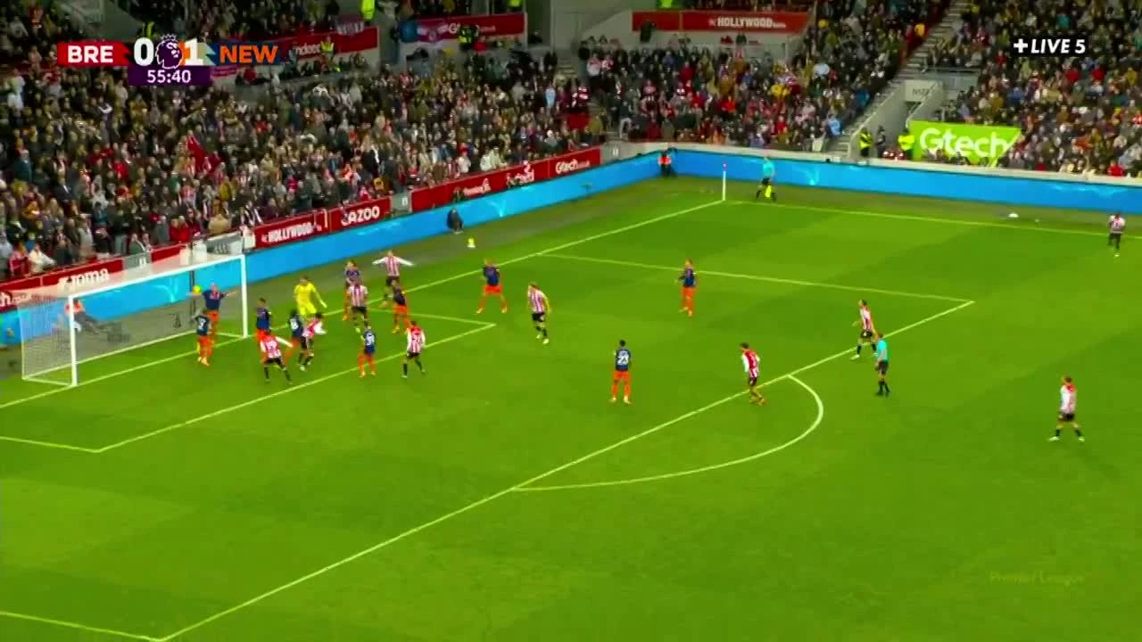 zaslepka skrotu video