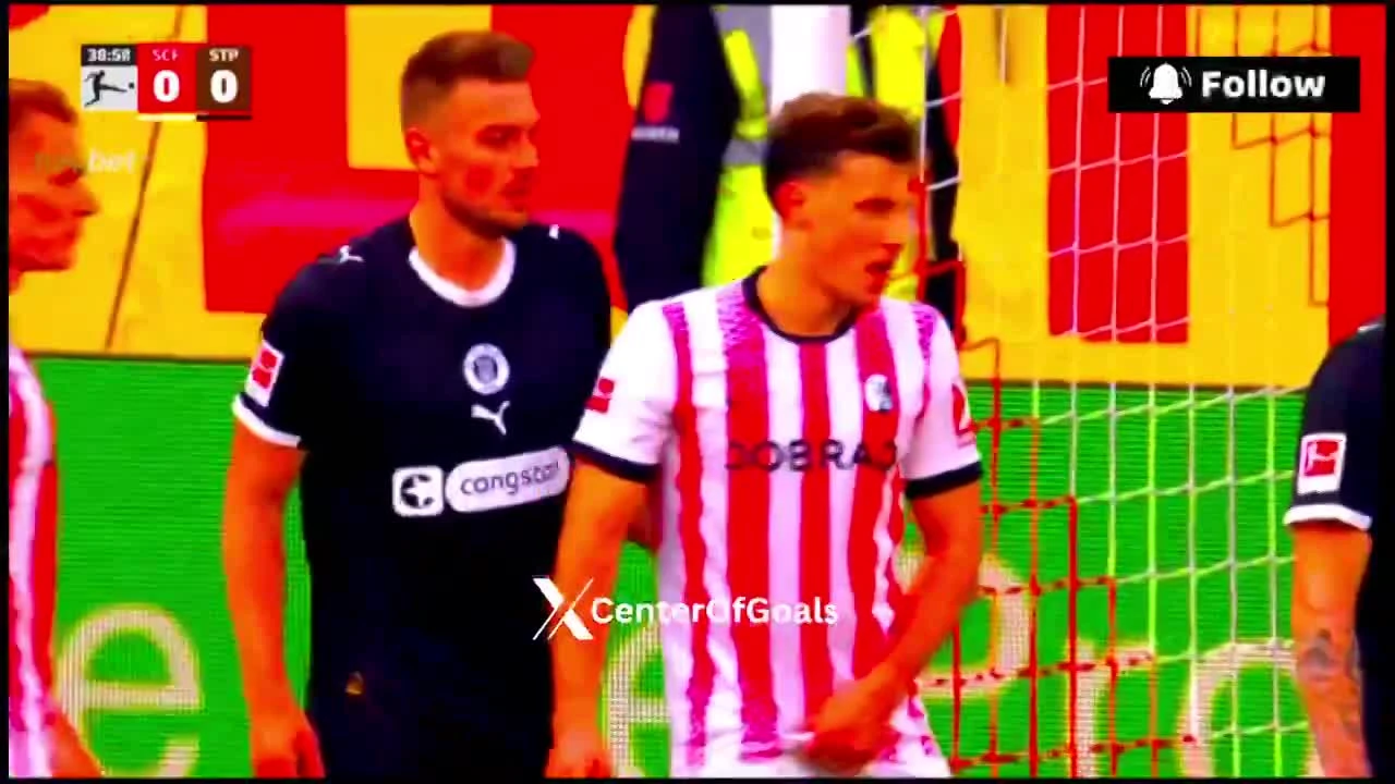 zaslepka skrotu video