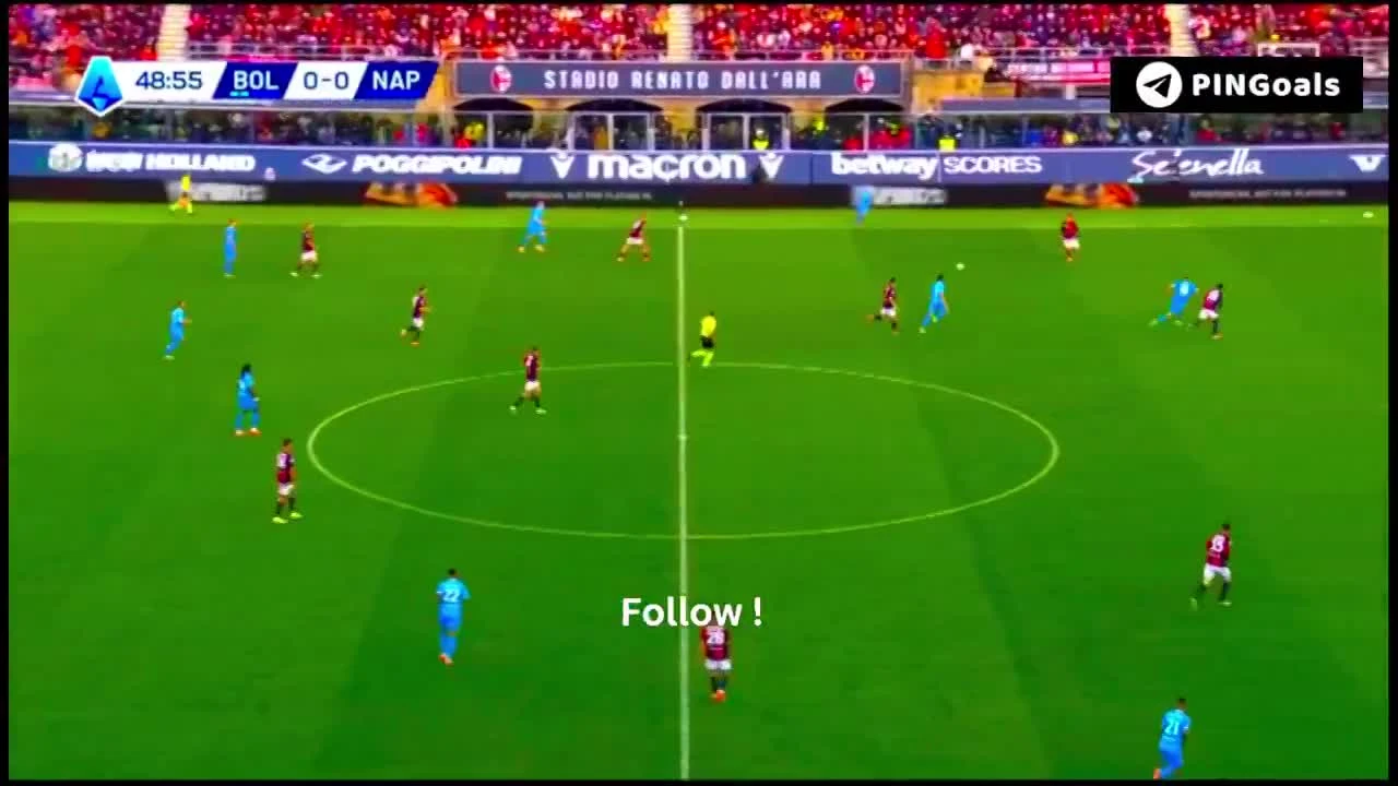 zaslepka skrotu video