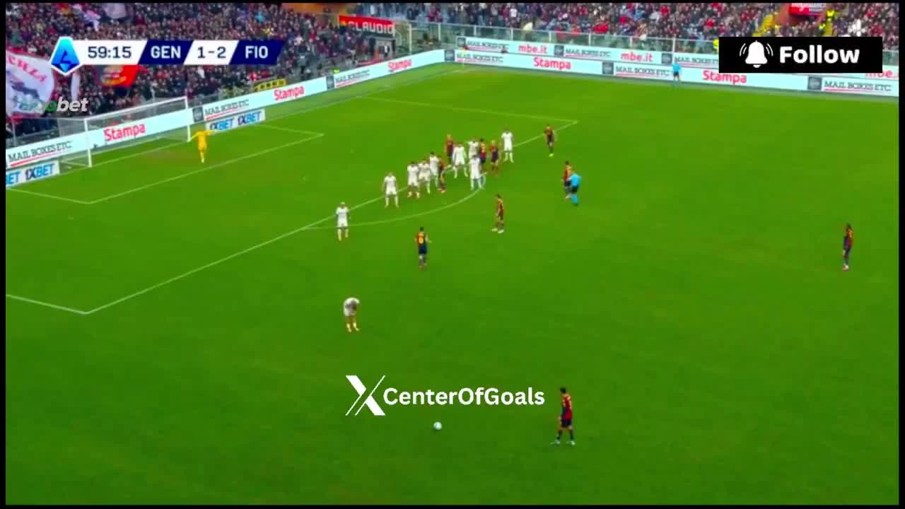 zaslepka skrotu video