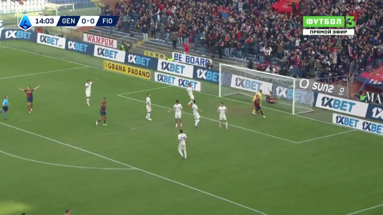 zaslepka skrotu video