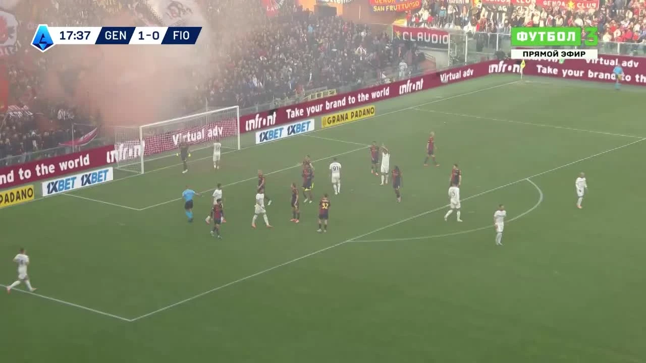 zaslepka skrotu video