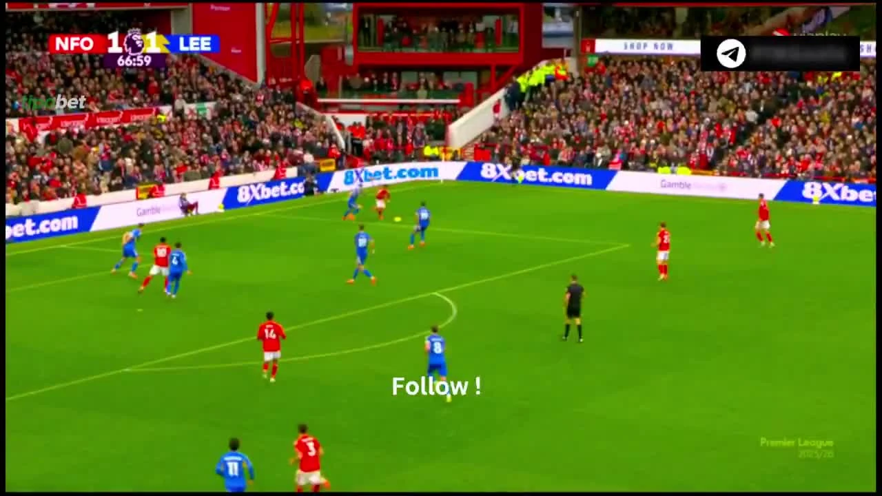 zaslepka skrotu video