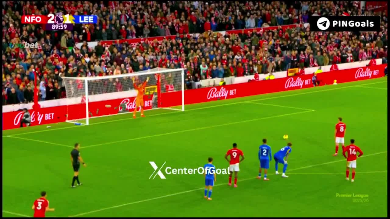 zaslepka skrotu video