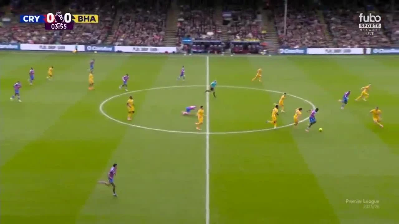 zaslepka skrotu video