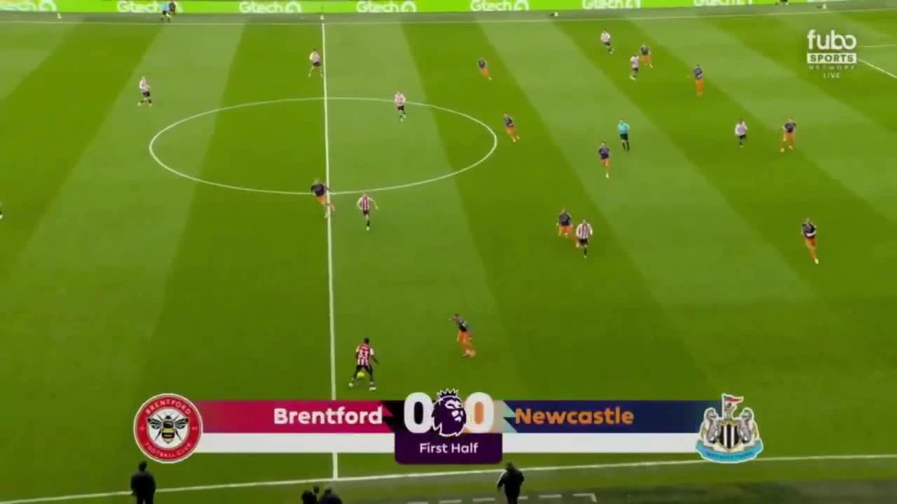 zaslepka skrotu video