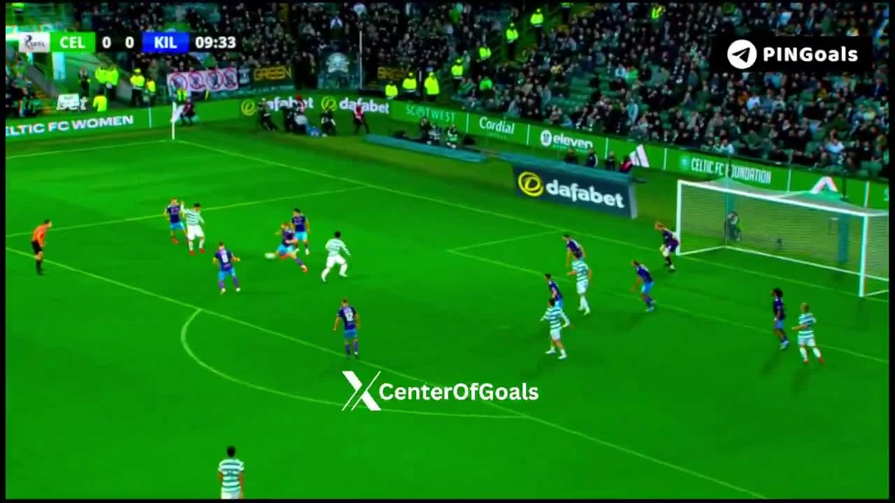 zaslepka skrotu video