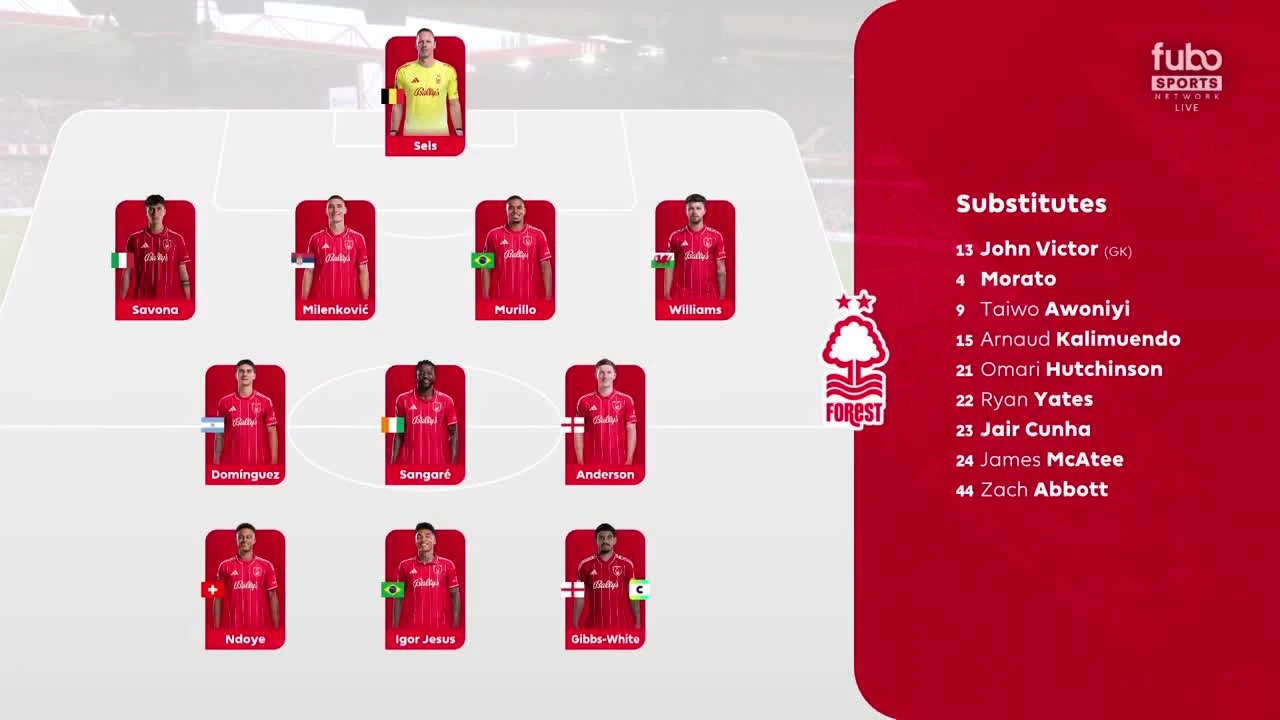 zaslepka skrotu video