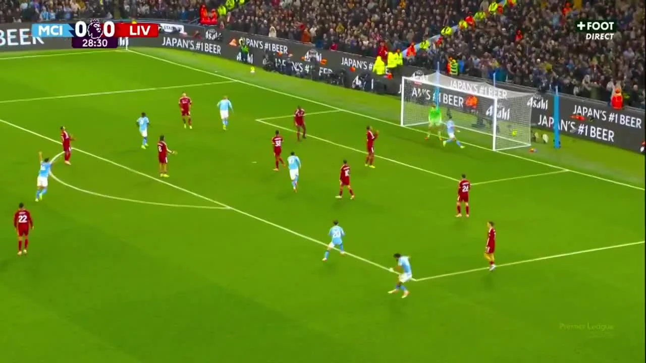 zaslepka skrotu video