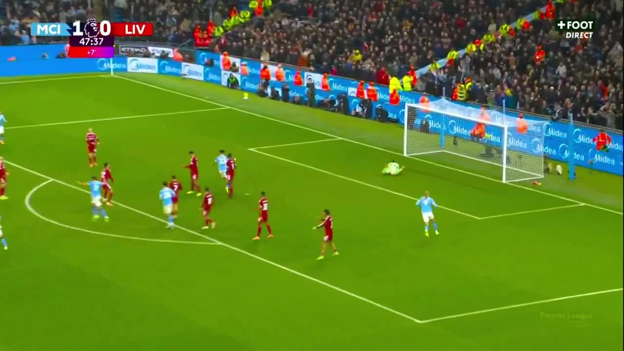 zaslepka skrotu video