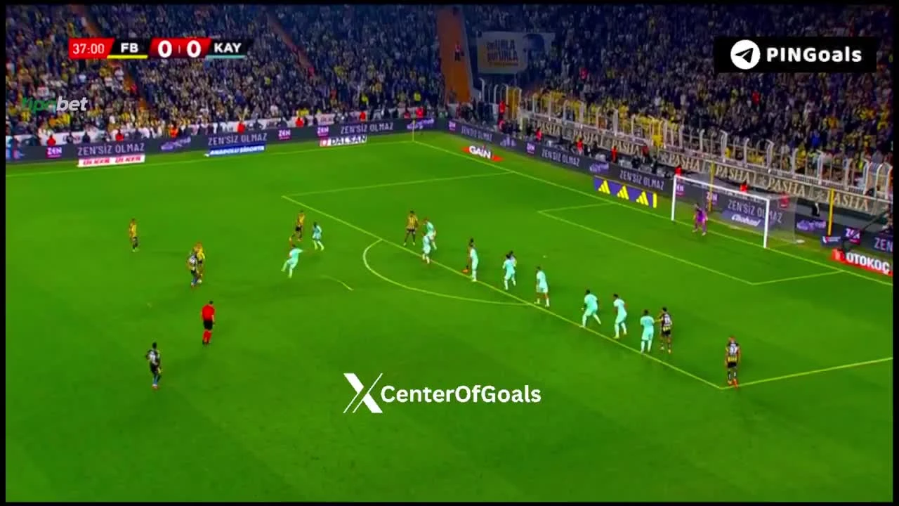 zaslepka skrotu video