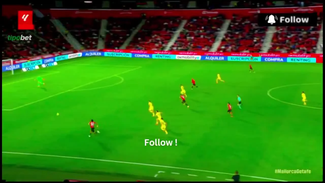 zaslepka skrotu video