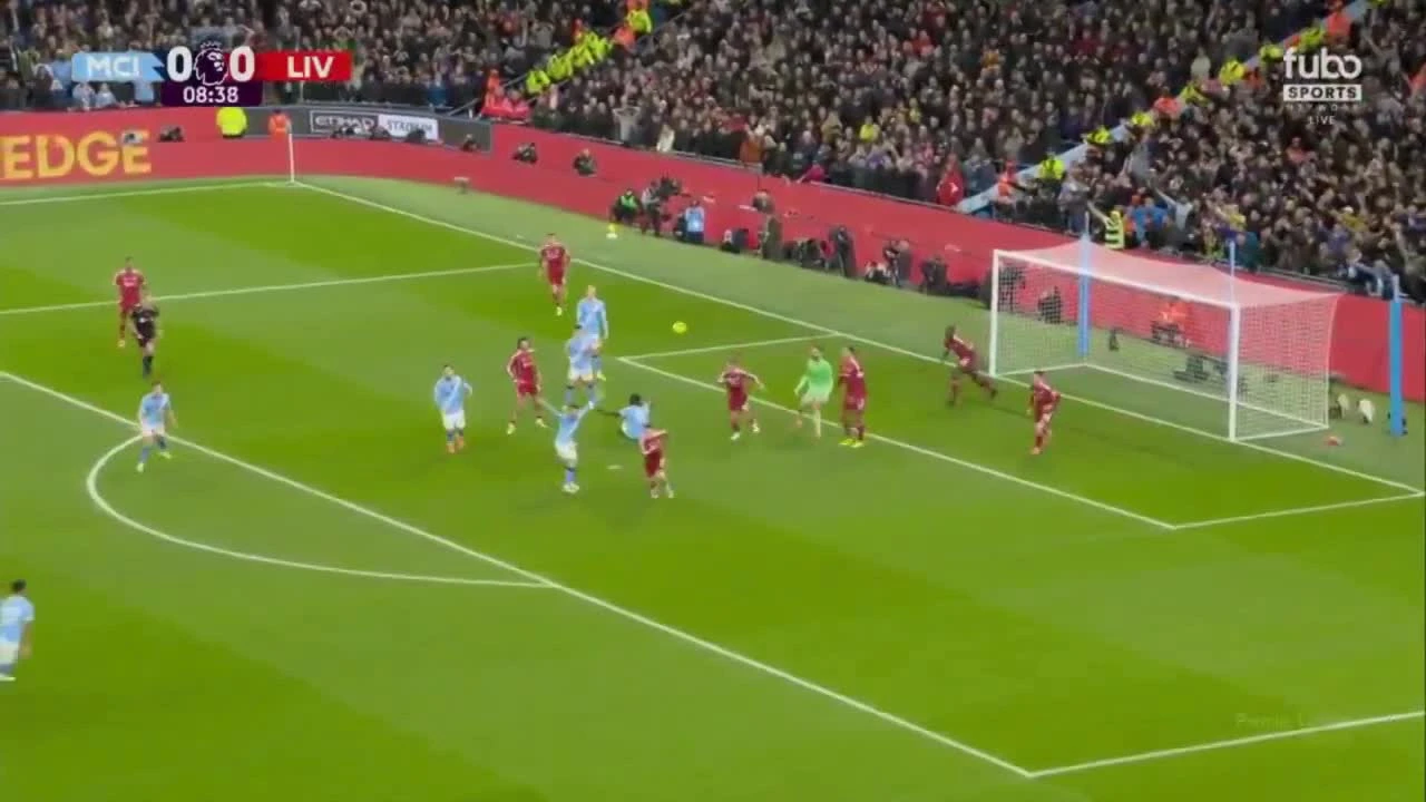 zaslepka skrotu video