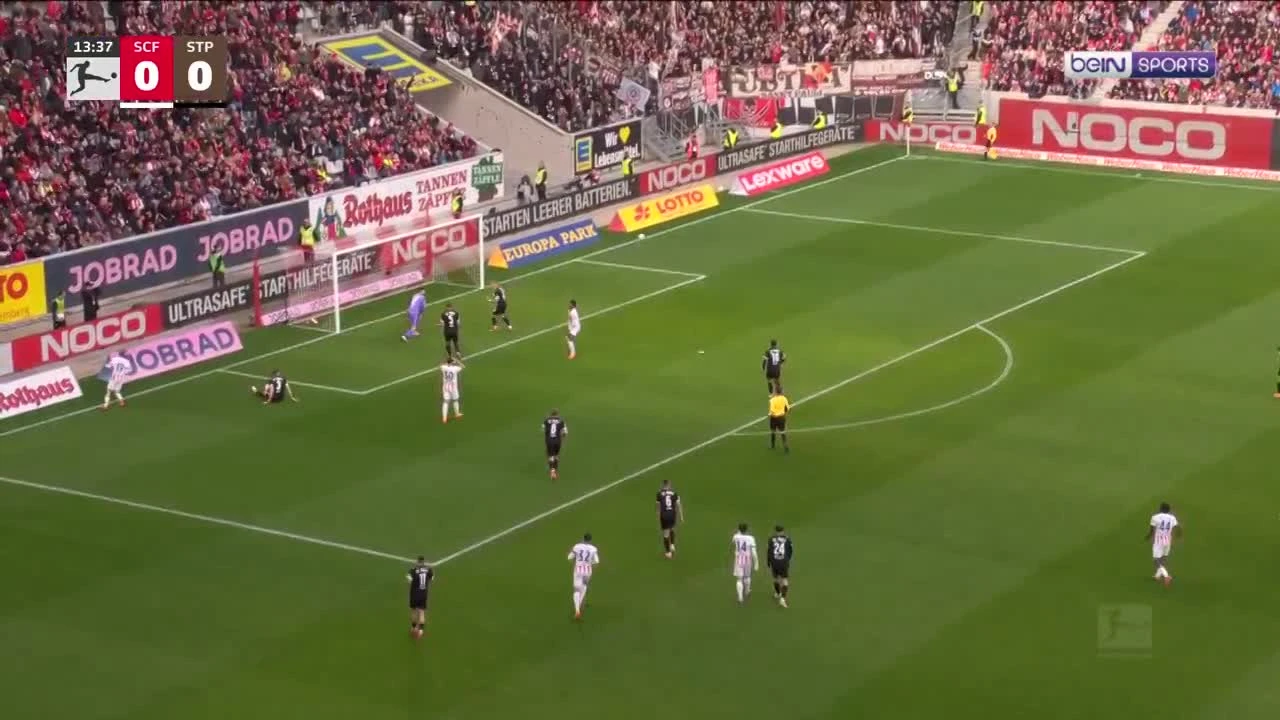 zaslepka skrotu video