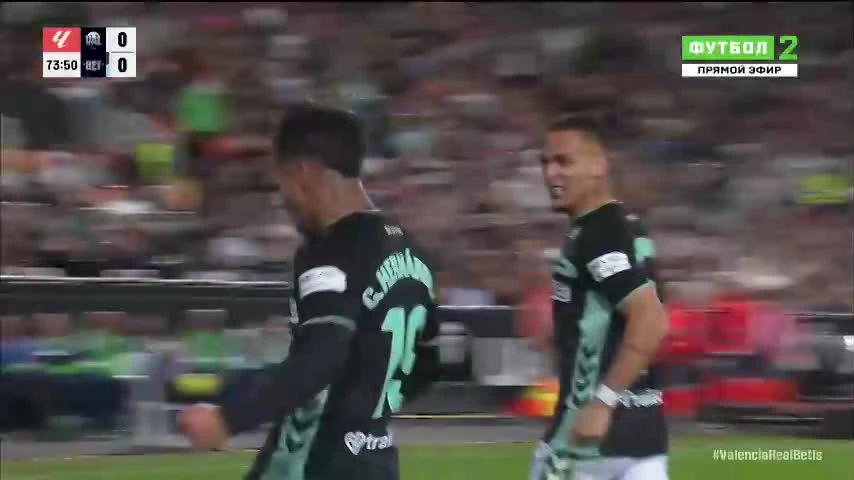 zaslepka skrotu video