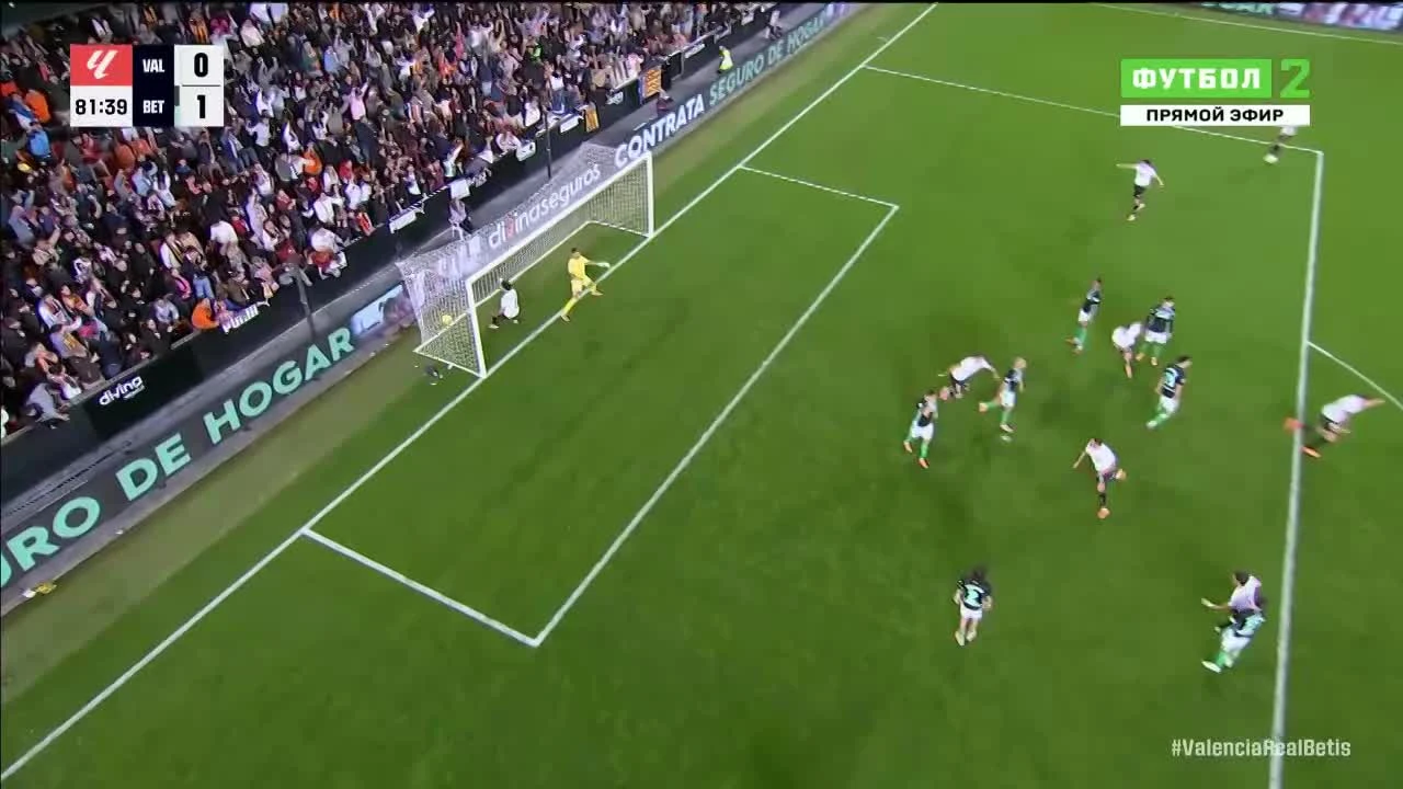 zaslepka skrotu video