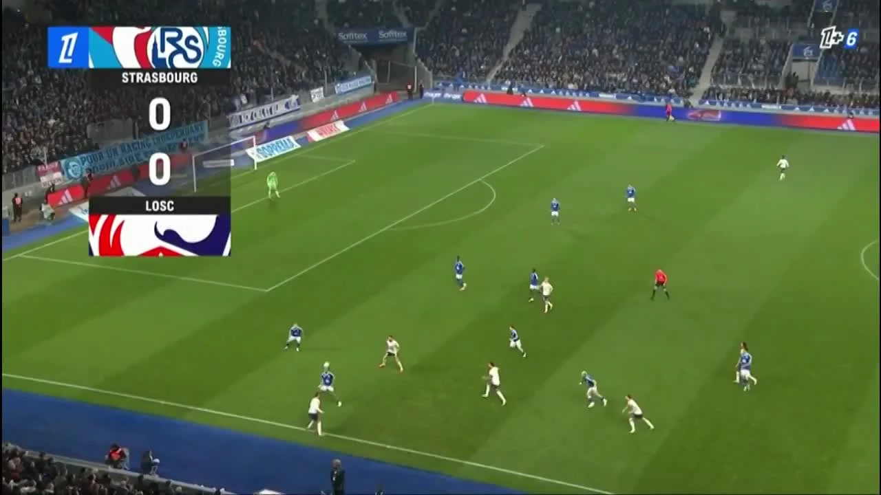 zaslepka skrotu video