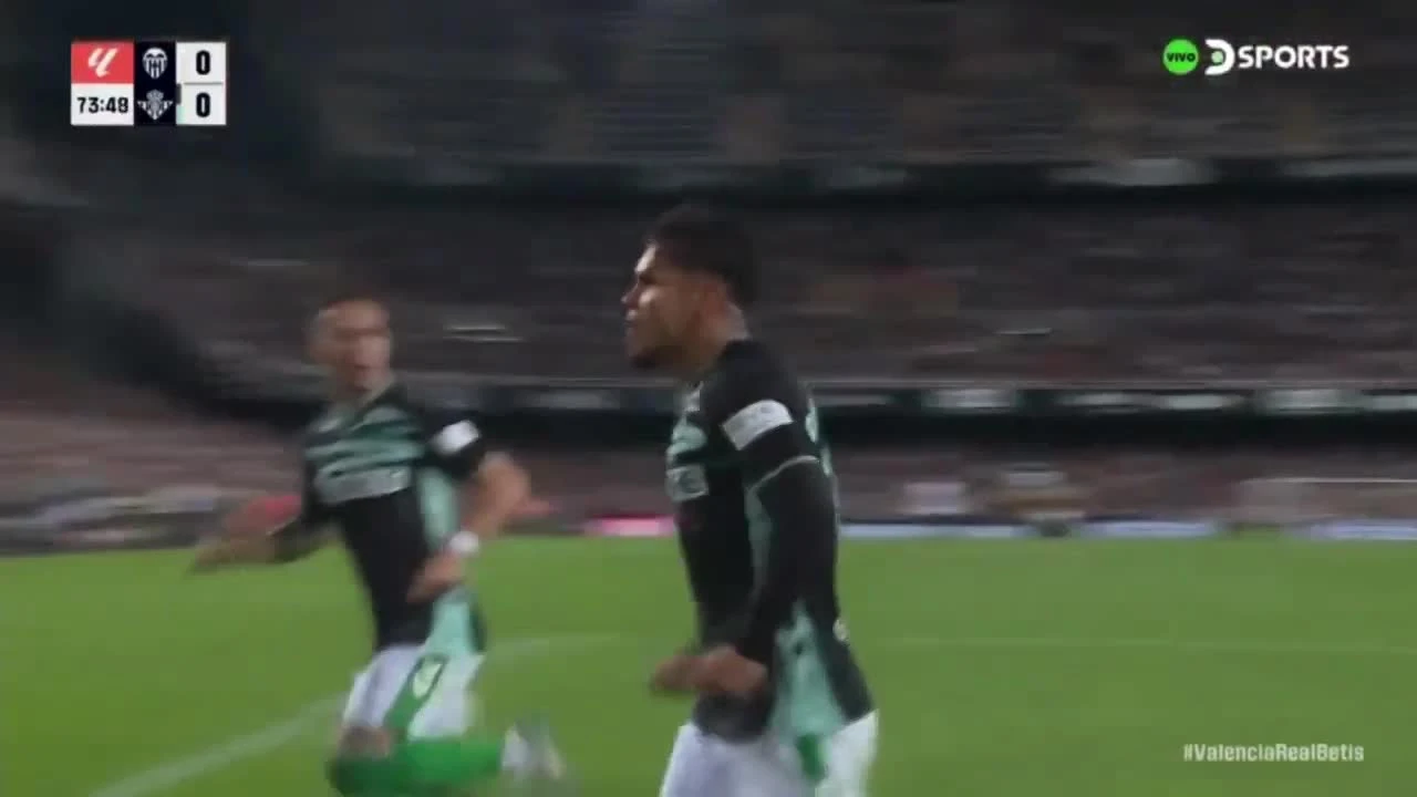 zaslepka skrotu video